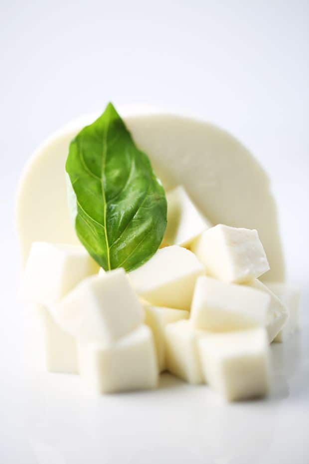 Fresh mozzarella cheese