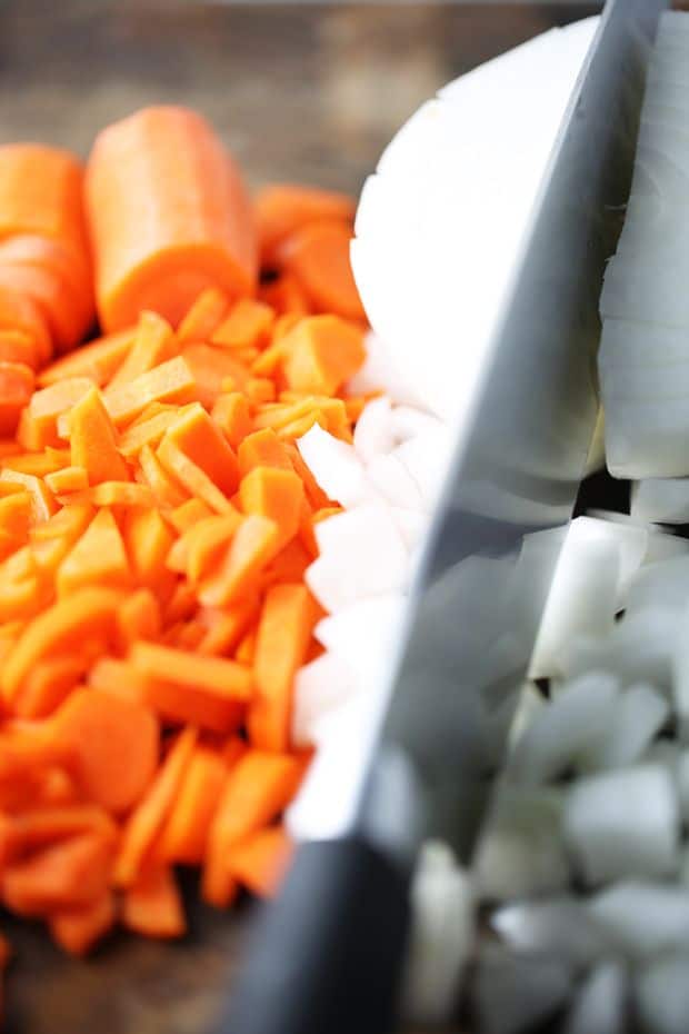 diced onion and cut carrots into strips