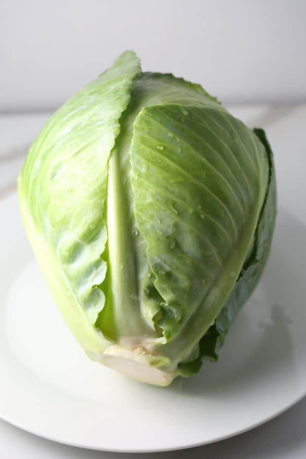 stuffed cabbage rolls fresh cabbage