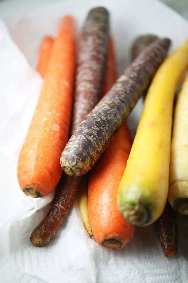 Healthy Multi colored Carrots