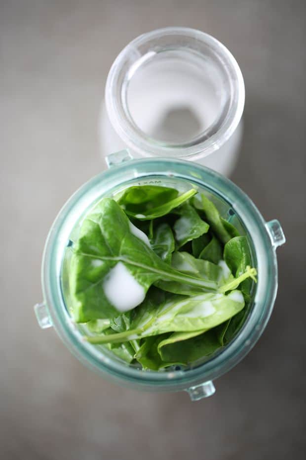 Spinach in ninja blender with coconut milk