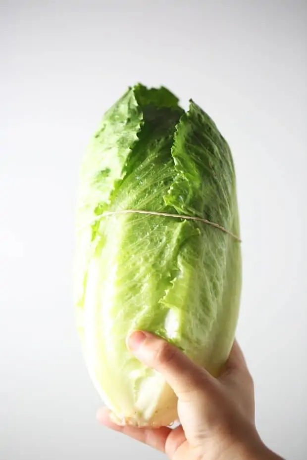 How to choose perfect baby romaine lettuce